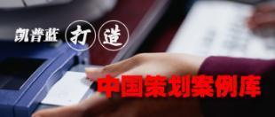 企業(yè)整體形象CIS策劃 構(gòu)建品牌核心競(jìng)爭(zhēng)力的系統(tǒng)工程